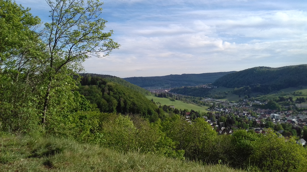 Blick vom Meinetshaldenfelsen nach Ebingen